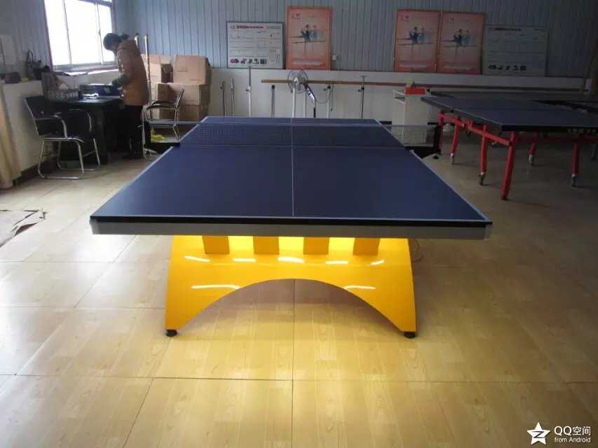 金彩虹乒乓球台(图3)