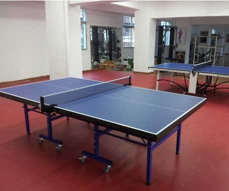 室内单折移动乒乓球台(图1)